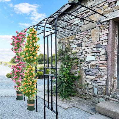 Halve Zij Tuinboog Rozenboog voor Klimrozen - Metalen Wandpergola voor Tuin, Balkon en Terras