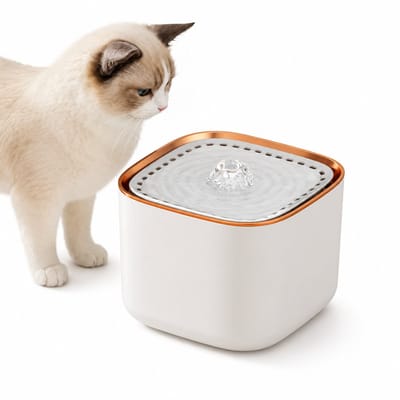 Innovastore Drinkfontein - Drinkbak - Dierendrinkfontein - Stille Waterdrinkfontein - Automatisch - Filtersysteem - 2 liter - Wit