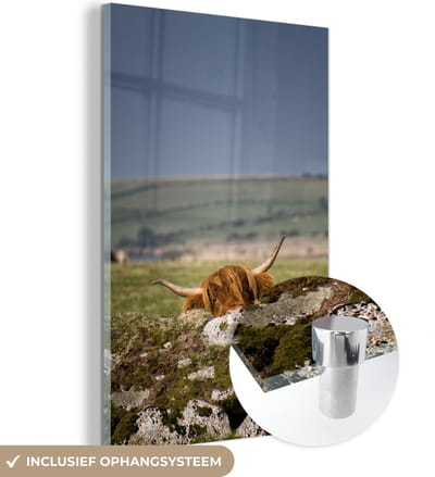 MuchoWow® Glasschilderij 120x180 cm - Schilderij acrylglas - Schotse Hooglander - Stenen - Gras - Foto op glas - Schilderijen