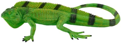 Mojo Wildlife Leguaan - 381095