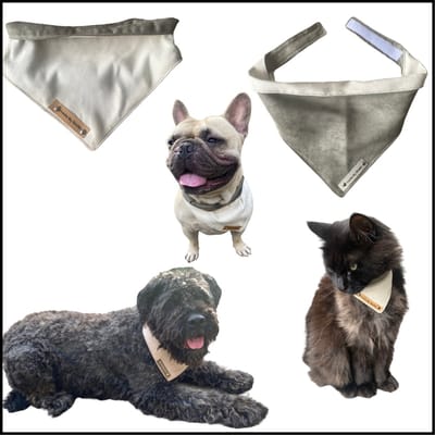 Bandana voor honden. Maat XL in de kleuren legergroen en crème. Dubbelzijdig te dragen. Halssjaal - halsdoek - dog scarf - 2 in 1 bandana - hondenkleding - hondenfashion - modeaccessoires voor honden - MadeByShuko