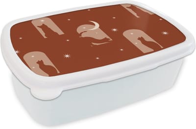 Broodtrommel Wit - Lunchbox - Brooddoos - Sterren - Kat - Design - 18x12x6 cm - Volwassenen