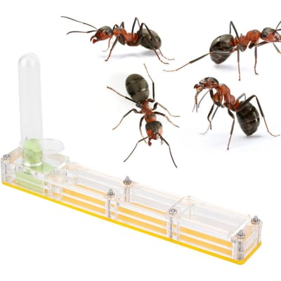 Acryl Mierenkwekerij Huis   Formicarium Display Box met Watertoren Bevochtiging