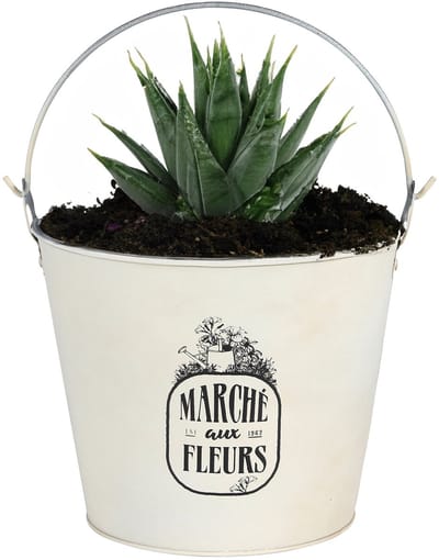 Sunnydays Emmer/plantenpot/bloempot - zink - ivoorwit - D24 x H19 cm