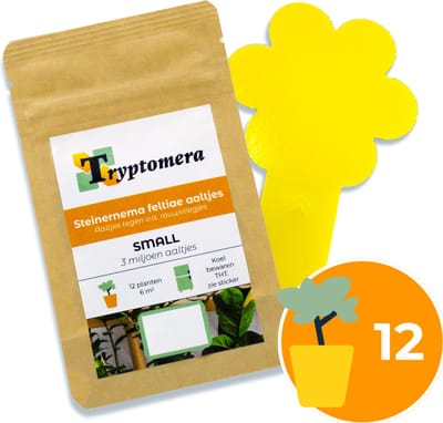 Voordeelpakket tegen rouwvliegjes - 3 miljoen aaltjes - 10 vangplaatjes - voor 8-12 planten