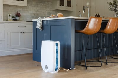 Meaco DD8L ION - Adsorptiedroger - Ontvochtigt tot 8L per dag – Voor ruimtes tot 46 m² - Zeer stil - Incl. wasdroogfunctie