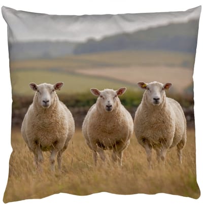 Sierkussens - Kussentjes Woonkamer - 50x50 cm - Schapen - Weidenlandschap - Heuvels