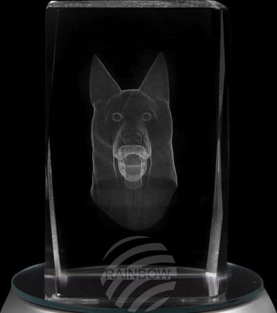 glasblokje crystal plein thema: hond kleur transparant