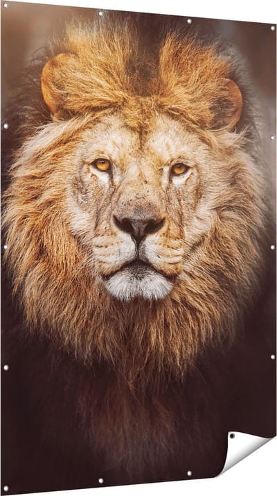 Gards Tuinposter Leeuw - Leeuwenkop - Kleur - 120x180 cm - Tuindoek - Tuindecoratie - Wanddecoratie buiten - Tuinschilderij