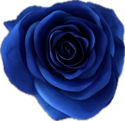 AMALIA BLAUW KUNSTROZEN - Rozenkoppen 12 stuks - Mooie Kwaliteit Kunstbloemen - Nepbloemen - Rozen zonder Steltjes - Kunstbloemen voor Decoraties/ Versieringen - DIY Bloemen - Rozen voor de Bloemenmuur