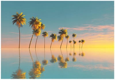 WALLARENA - Fotobehang - 150x105 cm - palmbomen, strand, landschap, natuur, slaapkamer, woonkamer