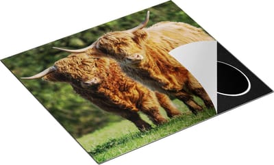 Chefcare Inductie Beschermer Twee Schotse Hooglanders in de Groene Weide - 60x50 cm - Afdekplaat Inductie - Kookplaat Beschermer - Inductie Mat