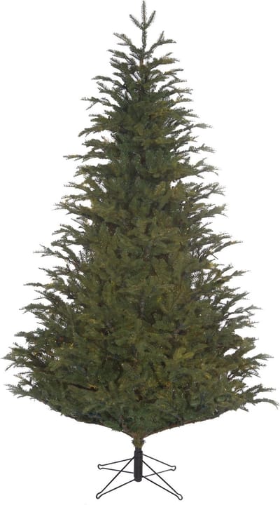 Black Box Trees Frasier - Kerstboom met Volle Uitstraling en 1298 Takken - Kerstversiering voor Binnen - Kunstboom Makkelijk Op te Zetten - H155 x Ø109 cm - Groen
