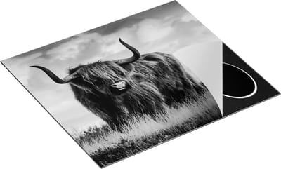 Chefcare Inductie Beschermer Schotse Hooglander Koe - Kleur - Zwart Wit - 60x50 cm - Afdekplaat Inductie - Kookplaat Beschermer - Inductie Mat