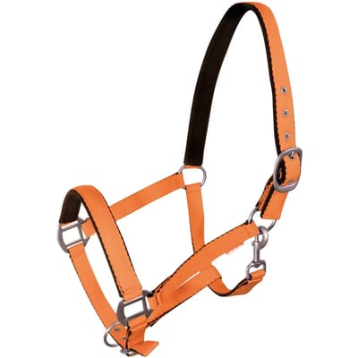 Halster voor paarden York