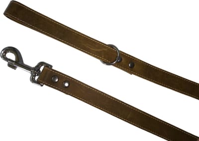 JACK AND VANILLA Hondenriem / Uitlaatriem - Vetleder - Groen - Breedte: 2,5 cm - Lengte: 100 cm - Geschikt voor grote tot hele grote honden