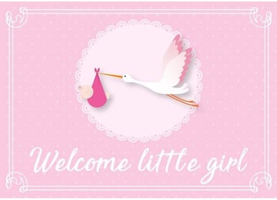 Welcome little girl ansichtkaart - wenskaart - geboorte - geboren - kraamcadeau - A5 formaat - roze - karton - geboortekaartjes