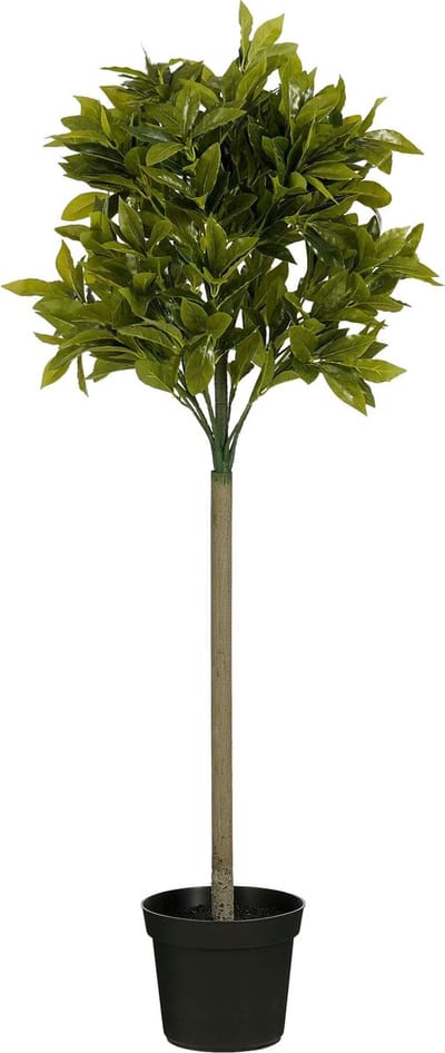Mica Decorations Laurierboom Kunstplant - H120 x Ø40 cm - Groen
