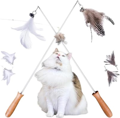 Kattenspeelgoed met Veer - Kattenhengel Kattenstok - Jachtinstinct Stimuleren - Uitschuifbare Stang - 2 stuks - Meerkleurig
