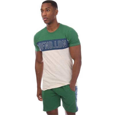 DFND London Heren-T-shirt met kleurblokken en logo (Steen/Groene afdruk)