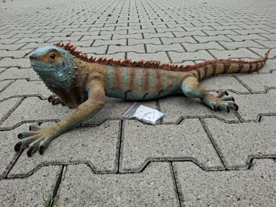 Realistische Leguaan Wanddecoratie XL – Grote Gekleurde Iguana Reptielen Beeld – Polystone – L93 x B36 x H19 cm – Inclusief Muurbeugel – Exotisch Dierenbeeld voor Huis of Tuin