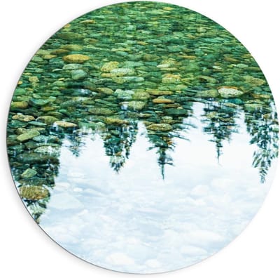 Dibond Wandcirkel - Weerspiegeling van Bomen in Water - 90x90cm Foto op Aluminium Wandcirkel (met ophangsysteem)