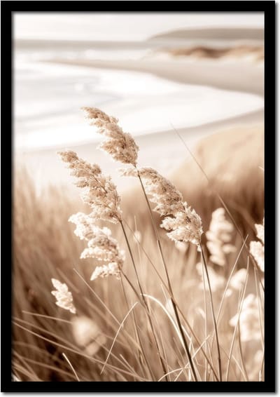 Poster siergras op het strand - 21cm x 30cm a4 - vintage - woonkamer - slaapkamer - bloemen posters - goedkoop - muurposter - natuur - wanddecoratie