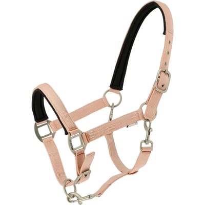Norton Equestrian Nacre Halster Bruin Full
