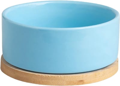 Verwarmde Waterdispenser - Huisdier Drinkbak - Altijd Warm Water - Keramisch Anti-Droogbrand - USB Oplaadbaar - Meerdere Kleuren