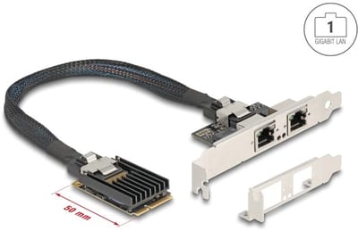 Delock Mini PCIe I/O PCIe full size 2 x RJ45 Gigabit LAN