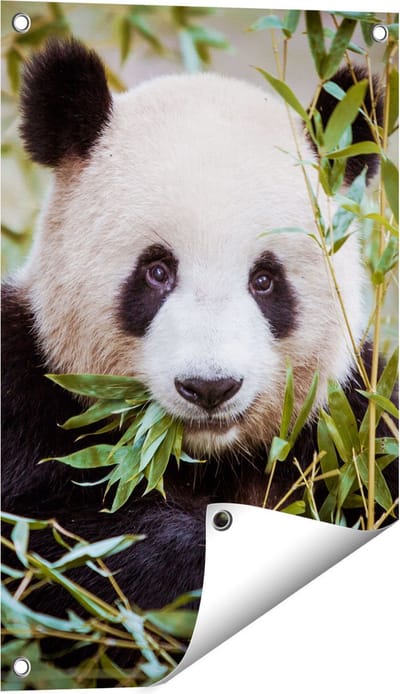 Gards Tuinposter Panda Eet Planten - 40x60 cm - Tuindoek - Tuindecoratie - Wanddecoratie buiten - Tuinschilderij