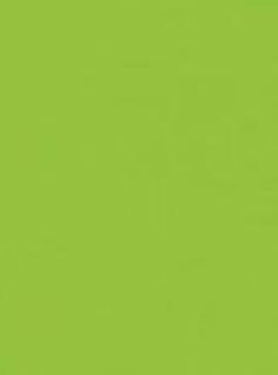 Folia Tekenpapier licht groen 50X70/130G