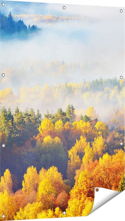 Gards Tuinposter Gekleurde Herfstbos met Mist - 80x120 cm - Tuindoek - Tuindecoratie - Wanddecoratie buiten - Tuinschilderij