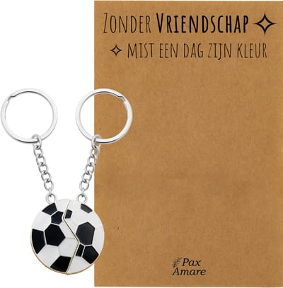 BFF Sleutelhanger voor 2 'Zonder Vriendschap mist een dag zijn kleur' - Magnetische Voetbal - Sleutelhanger set op Cadeau Kaartje - Zilverkleurig - Vriendschap Symbool - Pax Amare