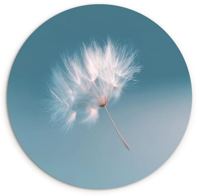 WallCircle® Wandcirkel 120x120 cm - Muurcirkel Paardenbloempluisje - Blauw - Lucht - Muurdecoratie woonkamer - Wanddecoratie slaapkamer - Kamer decoratie accessoires - Ronde schilderijen XXL
