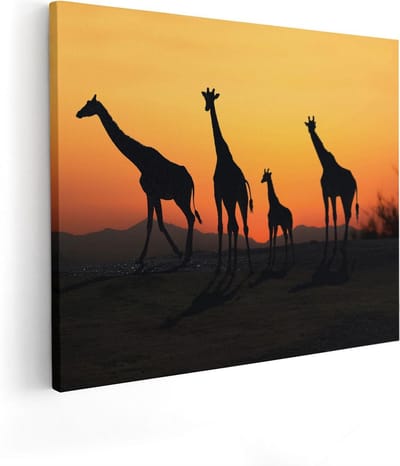 Artaza Canvas Schilderij Zonsondergang - 50x40 cm - Wanddecoratie Afrika - Muurdecoratie Giraffe - Kamer Accessoires Dieren