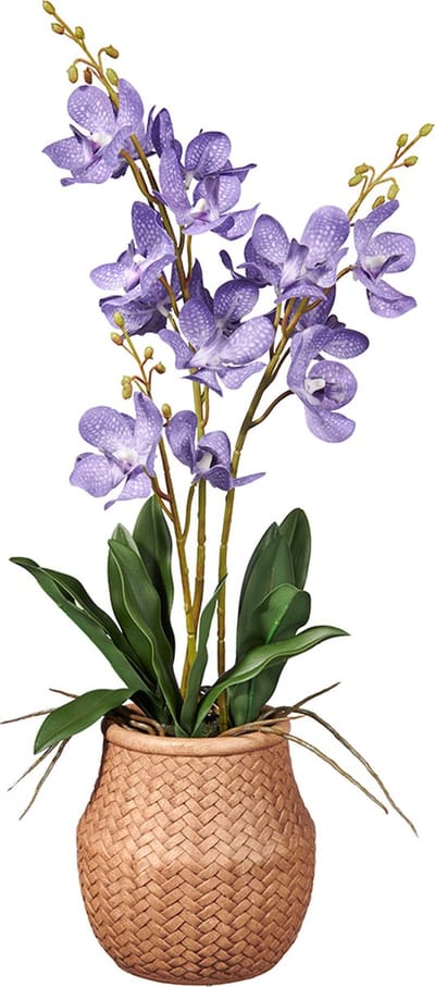 Kunstplant wilde Orchidee 3-tak lila H58cm - HTT Decorations kunstplanten