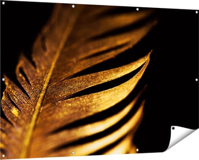 Gards Tuinposter Gouden Veer - 150x100 cm - Tuindoek - Tuindecoratie - Wanddecoratie buiten - Tuinschilderij