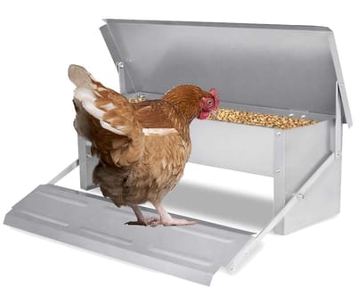 Voederautomaat Kip - Voerbak Gevogelte - Voer Beschermen - Rattenbestendig Pedaal - 5 kg Capaciteit - Zilver