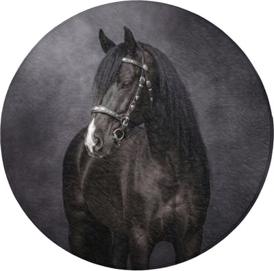 WC mat rond 70x70 cm - Antislip - Portret - Paard - Zwart - Toiletmat - Vloermat - Douchemat - Toilet tapijt - Toiletmatten