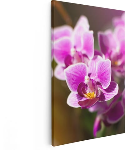 Artaza Canvas Schilderij Orchidee - 80x120 cm - Groot - Wanddecoratie Bloemen - Muurdecoratie Woonkamer - Schilderijen Op Canvas