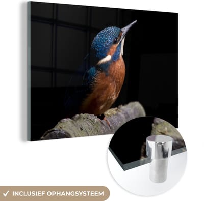MuchoWow® Glasschilderij 120x80 cm - Schilderij acrylglas - IJsvogel - Tak - Veren - Zwart - Foto op glas - Schilderijen