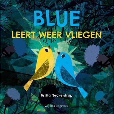 Blue leert weer vliegen 3jr+