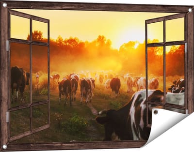 Gards Tuinposter Doorkijk Kudde Koeien in Weiland bij Zonsondergang - 90x60 cm - Tuindoek - Tuindecoratie - Wanddecoratie buiten - Tuinschilderij