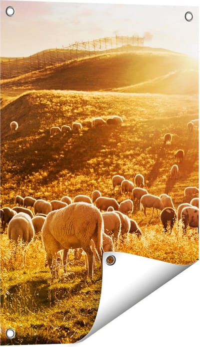 Gards Tuinposter Schapen in de Heuvels bij Zonsondergang - 40x60 cm - Tuindoek - Tuindecoratie - Wanddecoratie buiten - Tuinschilderij