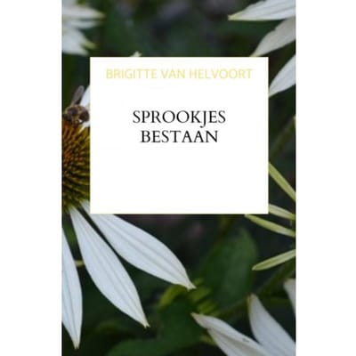Sprookjes Bestaan - Brigitte van Helvoort