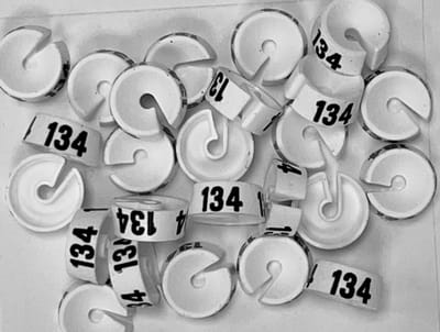 Bleijenberg Maatdopje maat 134 wit - Maataanduiding voor kledinghangers per 25 stuks - Maatringetje Ø 20 mm - Kledinghangers - Kleerhanger - Kapstok - Mark-Brics - wisersizer