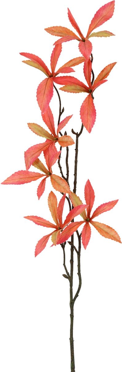 Countryfield kunstbloem Pachira rood 80cm decoratie bloem.