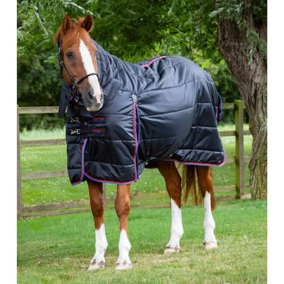 Paardenstaldeken met halsbedekking Premier Equine 200 g