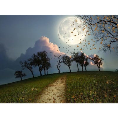 Volledige ronde boor diamant borduurwerk maanlicht landschap DIY diamant schilderij kruissteek strass 20X30CM gray